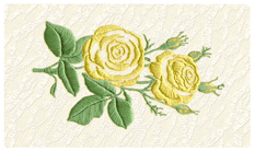 DNSEMP-C-506-YE Satin Rose Yellow